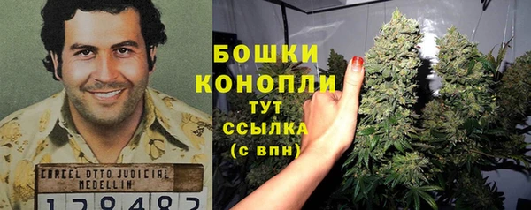 гашик Алексеевка
