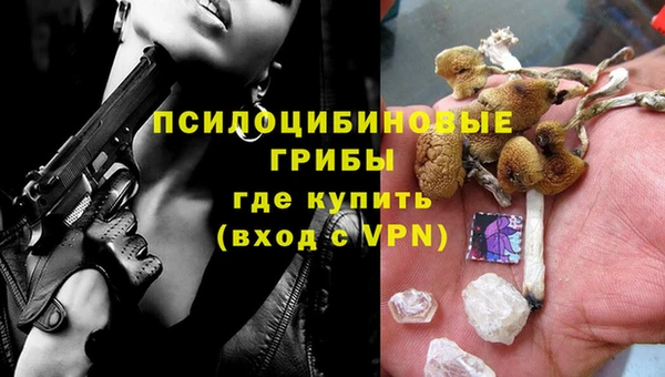 гашик Алексеевка