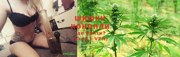 гашик Алексеевка