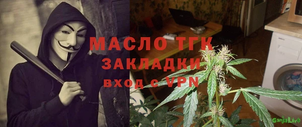 гашик Алексеевка