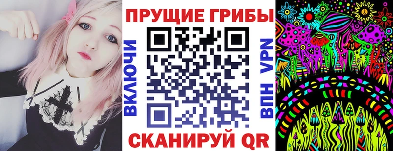 это клад  Николаевск  Псилоцибиновые грибы MAGIC MUSHROOMS  закладка 